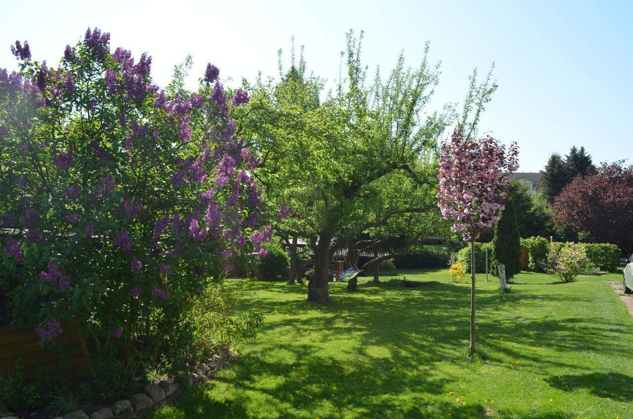 Ubytovani Janina Apartment Broumov Luaran gambar